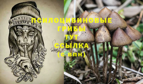 прущие крисы Майский