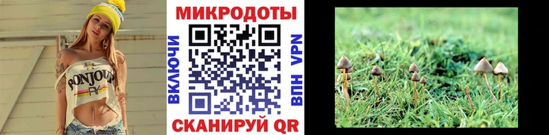 Галлюциногенные грибы мицелий  kraken ТОР  Урень 